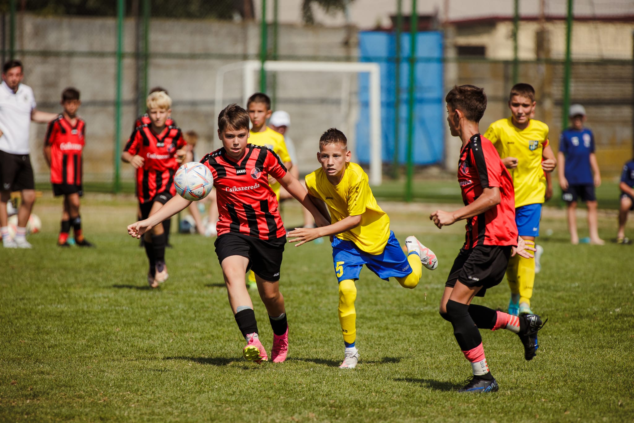 Kispad | U13 | Partium Kupa | Kovács Tamás